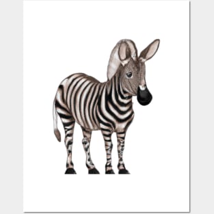 Cute Quagga Drawing Posters and Art